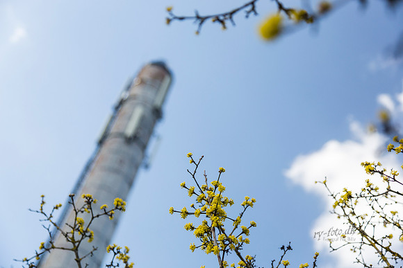 Gauerslund Fjernvarme 2012 - print - Fotograf_Per_Bille-20130417-_C8B2979