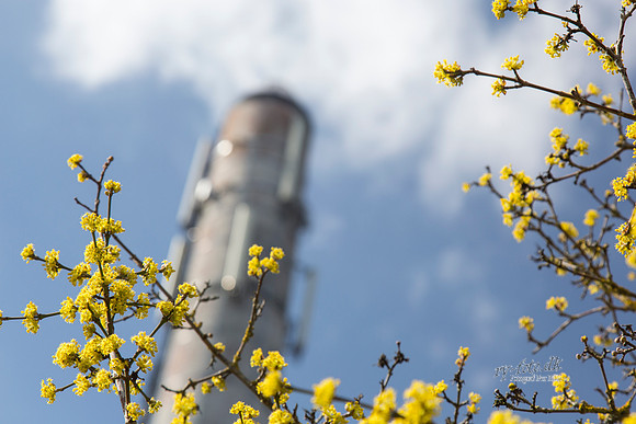 Gauerslund Fjernvarme 2012 - print - Fotograf_Per_Bille-20130417-_C8B2988