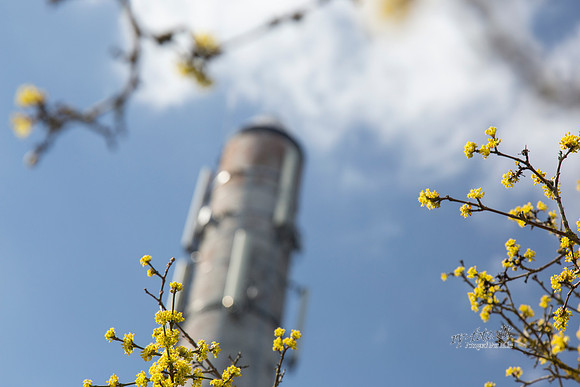 Gauerslund Fjernvarme 2012 - print - Fotograf_Per_Bille-20130417-_C8B2989