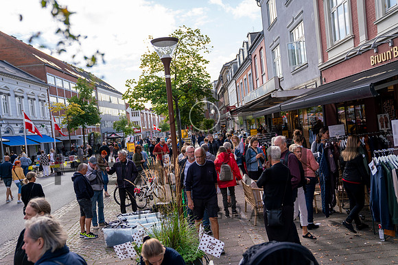 Skanderborg - web - Fotograf_Per_Bille-20200905-07210