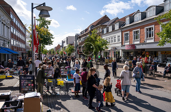 Skanderborg - web - Fotograf_Per_Bille-20200905-07232