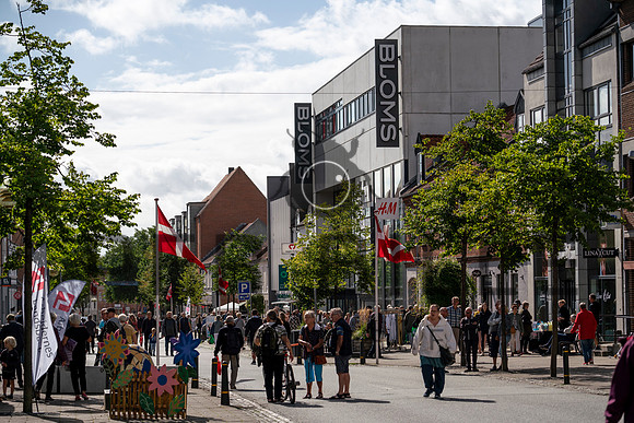 Skanderborg - web - Fotograf_Per_Bille-20200905-07242