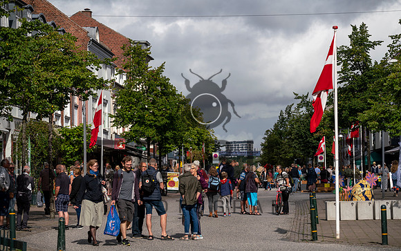 Skanderborg - web - Fotograf_Per_Bille-20200905-07254