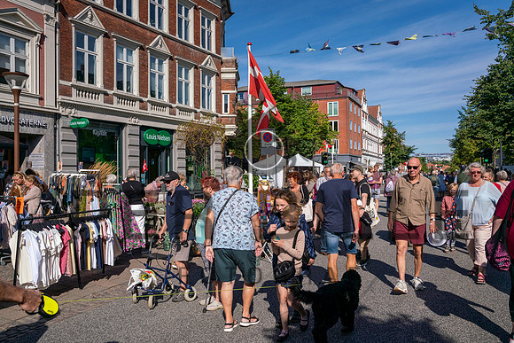 Markedsdag, Skanderborg City- print - Fotograf Per Bille-20210904-DSA00700