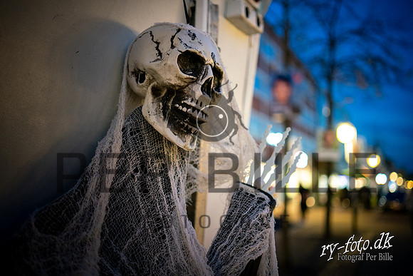 -fb - Fotograf Per Bille-20211029-DSA05151