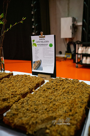 Klimafestival-print - Fotograf Per Bille-20220401DSA02527