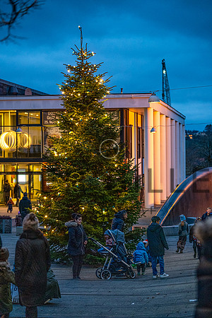 Jul Skanderbotg City-web -Fotograf Per Bille-20211126-DSA08068