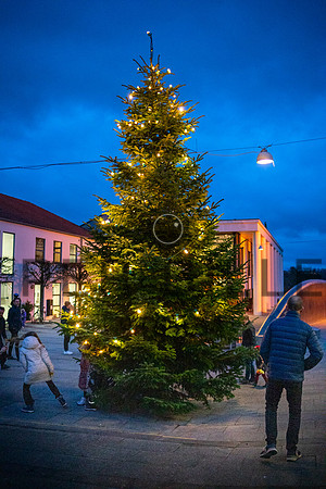 Jul Skanderbotg City-web -Fotograf Per Bille-20211126-DSA08083