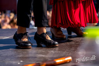 Flamenco - fregatten jylland-web m logo -Fotograf Per Bille-220824-DSA00610