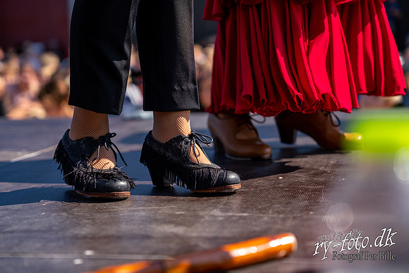 Flamenco - fregatten jylland-web m logo -Fotograf Per Bille-220824-DSA00610