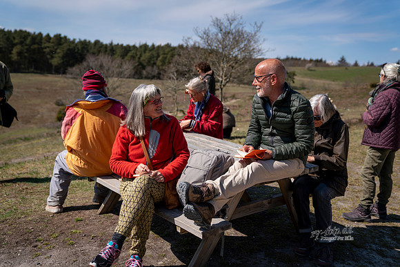 Trehøje - print -Fotograf Per Bille-DSC06088