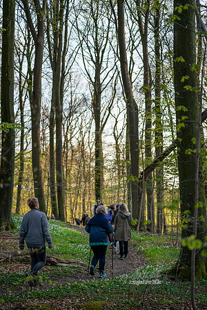 Beder- print -Fotograf Per Bille-DSC05598