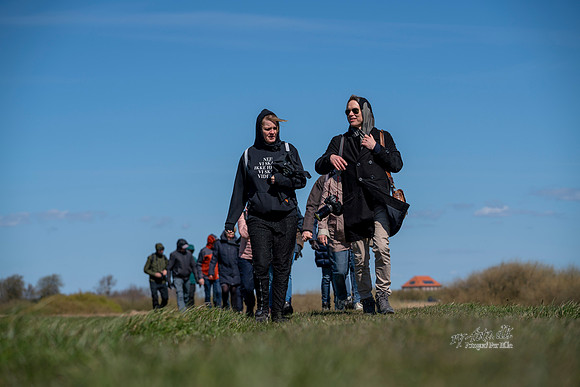Søren Solkær - print - Fotograf Per BilleDSC03075