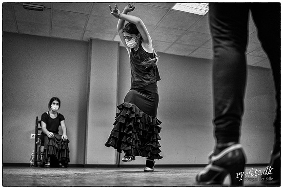 Flamenco-web - Fotograf Per Bille-20211012-DSA03918-Edit