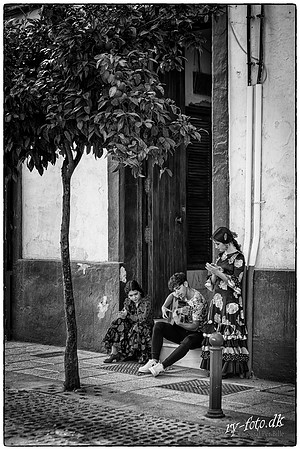 Flamenco-web - Fotograf Per Bille-20211012-DSC07416-Edit