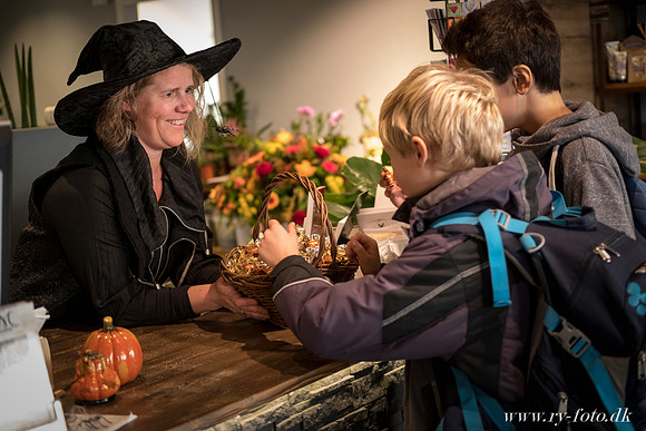 web Halloween Ry 2016 - Fotograf Per Bille-20161028-8709