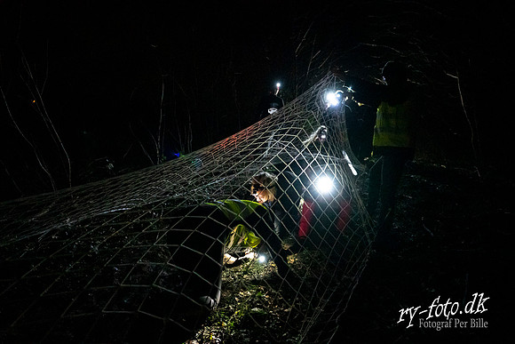 Skanderborg Firmaidræt- FB- Fotograf Per Bille-20200311-02815