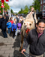 Sløngeldage-20150530-0052