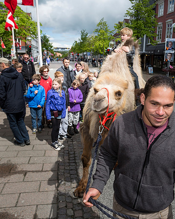 Sløngeldage-20150530-0052