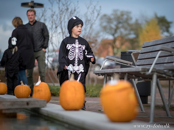 web Halloween Ry 2016 - Fotograf Per Bille-20161028-8795