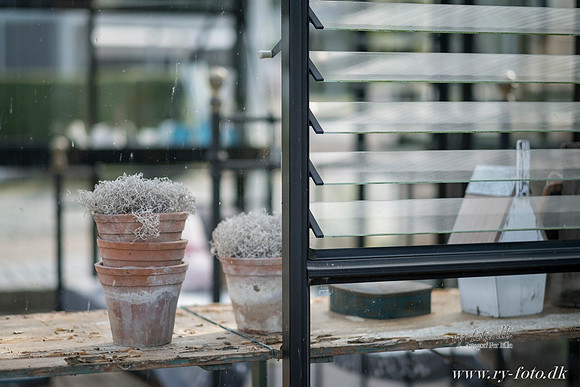 Udstilling HUSET web -20160916-9348