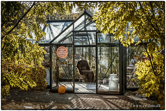 PD drivhusdrømme- Fotograf Per Bille-20161030-