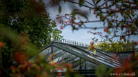 Udstilling HUSET web -20160916--12