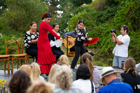 Flamenco - Nøset-print - Fotograf Per Bille-20220821DSC02799