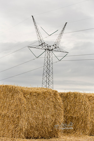 Halm - print - Fotograf_Per_Bille-20130725-_C8B8857