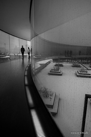 Aros-20160109-5095