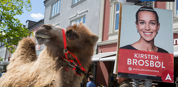 Sløngeldage-20150530-0043