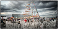 THE TALL SHIPS RACES 2019 - FB - Fotograf Per Bille -02475