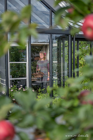 Drivhus - fotograf Per Bille-20160918-0336
