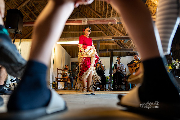 Flamenco - Nøset-web - Fotograf Per Bille-20220821DSC03451