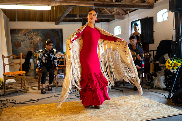 Flamenco - Nøset-web - Fotograf Per Bille-20220821DSC03068