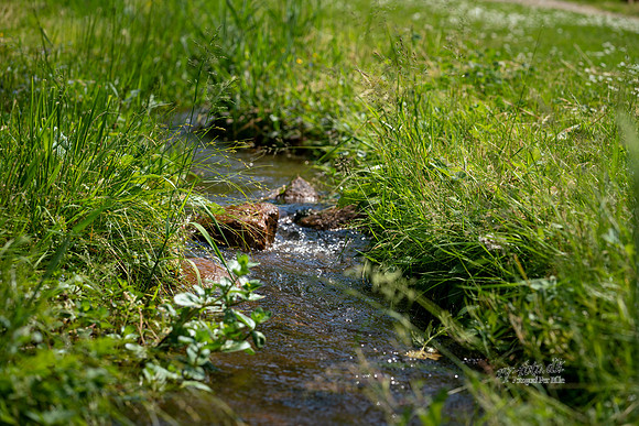 Skanderboorg - print - Fotograf Per Bille-20200617-00044
