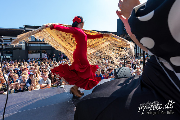 Flamenco - fregatten jylland-web m logo -Fotograf Per Bille-220824-DSA00451
