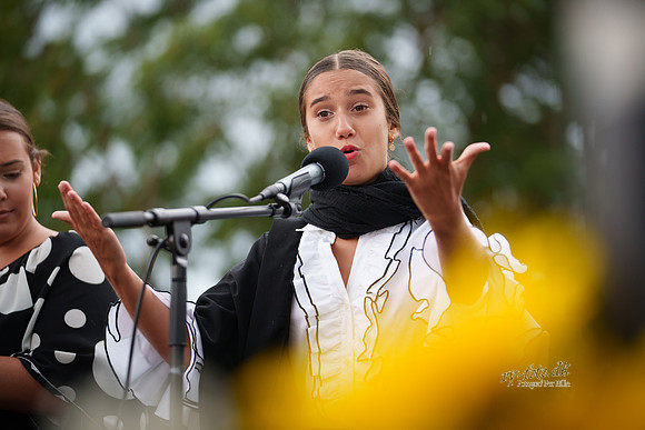 Flamenco - Nøset-web - Fotograf Per Bille-20220821DSC02870
