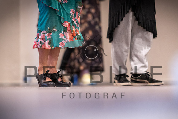 Flamenco, Jerez-web-Fotograf_Per_Bille-20221020DSC09345