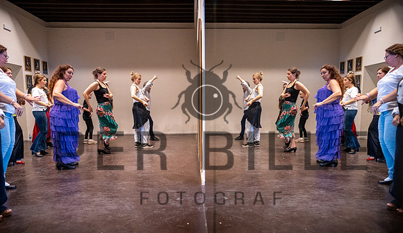 Flamenco, Jerez-web-Fotograf_Per_Bille-20221020DSC09309