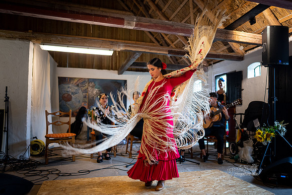 Flamenco - Nøset-web - Fotograf Per Bille-20220821DSC03200