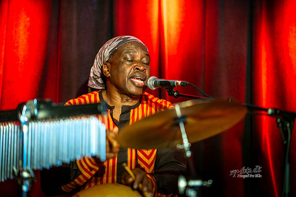 Sidiki Camara Et liv i musikken-web-Fotograf Per Bille-20250625-AAA03514
