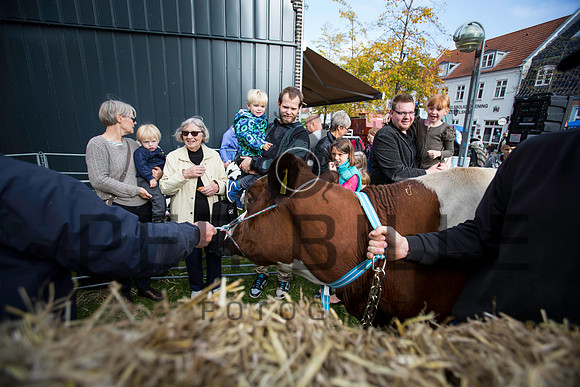 Print høstfest-9064