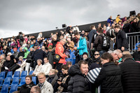 røde orm - print - Fotograf Per Bille-20170624-5473