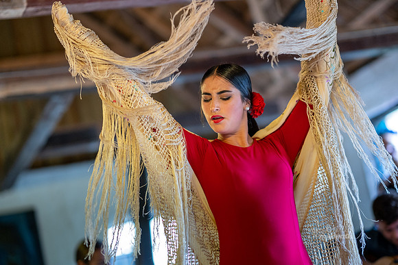 Flamenco - Nøset-web - Fotograf Per Bille-20220821DSC03434