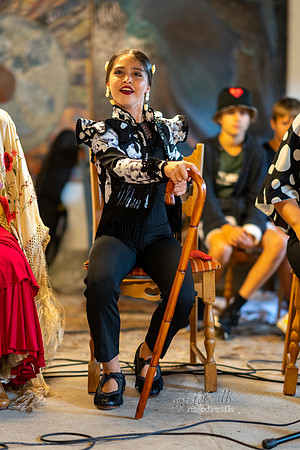 Flamenco - Nøset-web - Fotograf Per Bille-20220821DSC03052