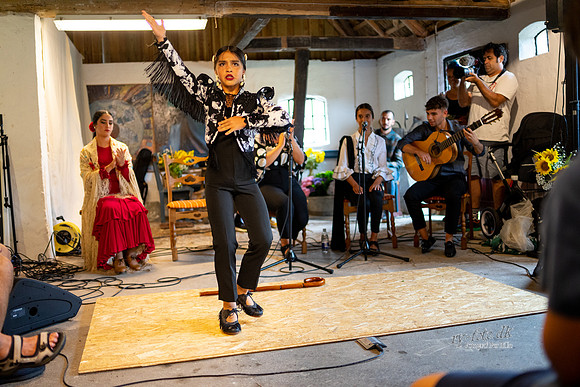 Flamenco - Nøset-web - Fotograf Per Bille-20220821DSC02981