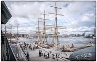 THE TALL SHIPS RACES 2019 - FB - Fotograf Per Bille -08429