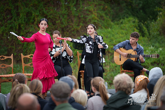 Flamenco - Nøset-web - Fotograf Per Bille-20220821DSC02810