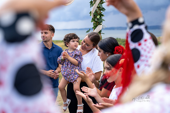 Flamenco - Nøset-web - Fotograf Per Bille-20220821DSC03767